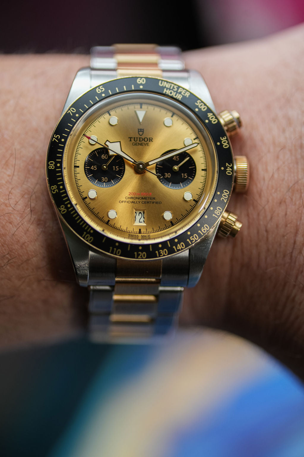 Tudor Black Bay || 79363N