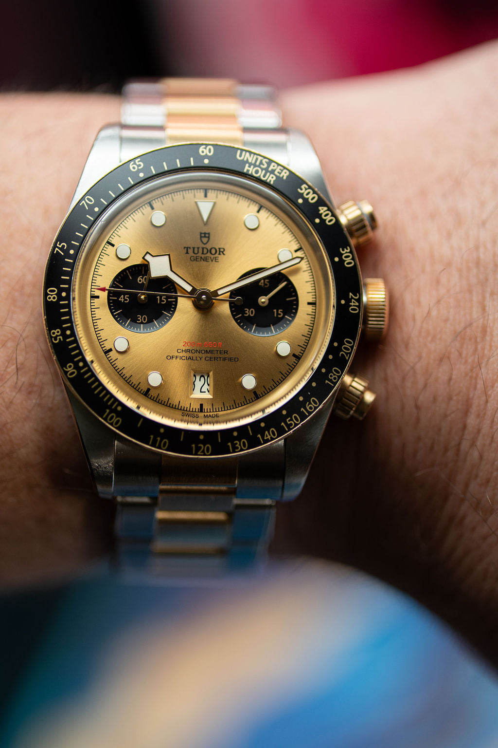 Tudor Black Bay || 79363N